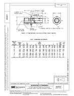 SAE AS4217