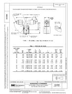 SAE AS4304