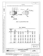 SAE AS4863