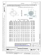 SAE AS28775 Revision A