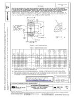 SAE AS21155 Revision B