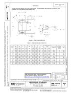 SAE AS21232 Revision A