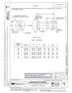 SAE AS125251 Revision B