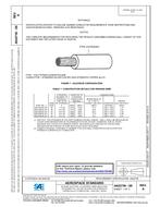 SAE AS22759/20 Revision A