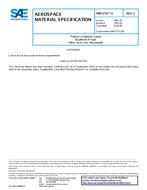 SAE AMS3731/3 Revision C