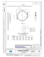 SAE AS5355/1 Revision B