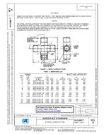 SAE AS21906 Revision D