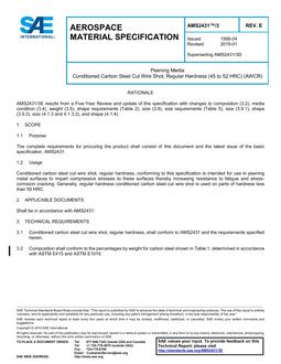 SAE AMS2431/3 Revision E